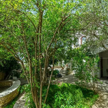 Apartmán Doria - 20m From Beach Trogir
